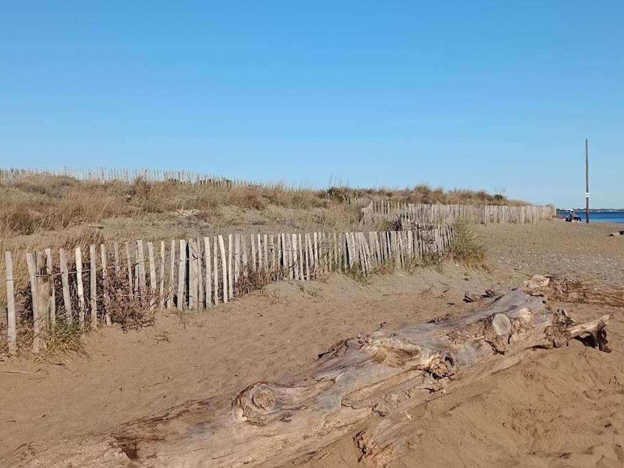 Studio Au Cap D'Agde Dans Les Pinedes Exteriér fotografie
